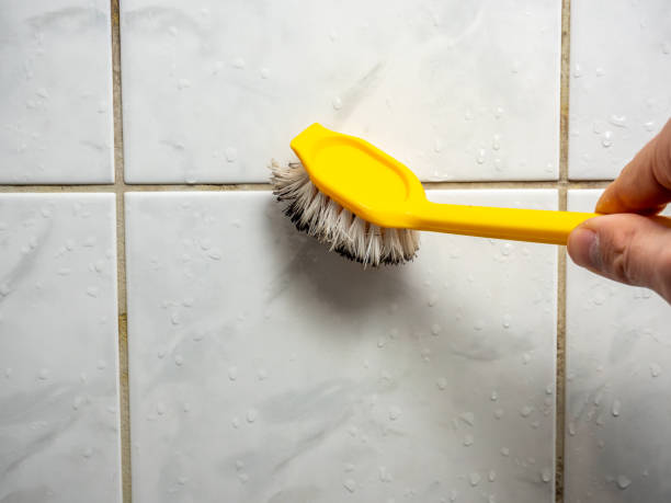 Best Office Mold Removal Services  in Cedar Creek, TX