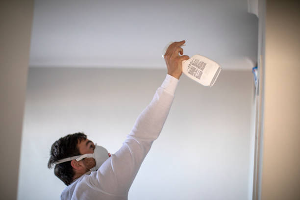 Best Residential Mold Removal  in Cedar Creek, TX
