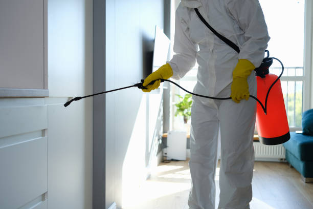 Best Mold Remediation Experts  in Cedar Creek, TX