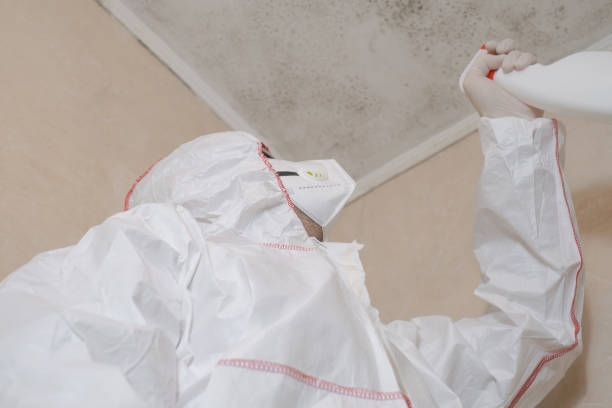 Best Attic Mold Removal  in Cedar Creek, TX