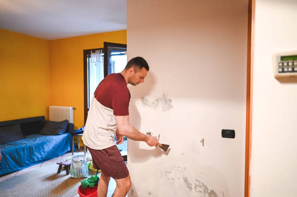 Best Crawl Space Mold Removal  in Cedar Creek, TX